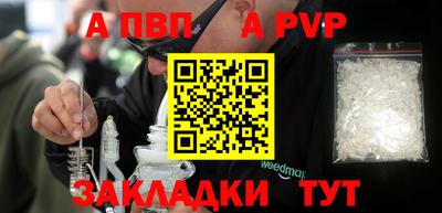 прущие грибы Абакан