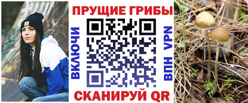 ссылка на мегу рабочий сайт  Киреевск  Псилоцибиновые грибы GOLDEN TEACHER 