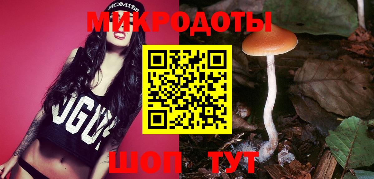 Псилоцибиновые грибы Psilocybine cubensis Киреевск