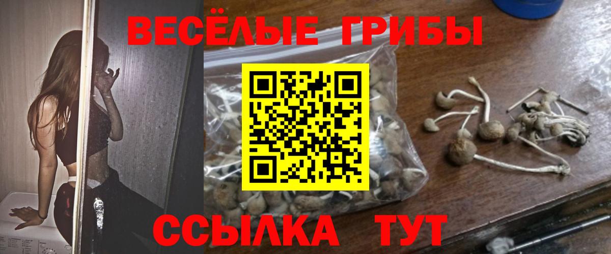 Псилоцибиновые грибы Cubensis  Вход с VPN  Киреевск 